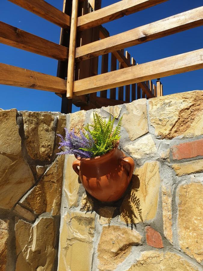 Nova Varoš Zlatar Luxury Chalet - Trace Of Nature 2214 מראה חיצוני תמונה