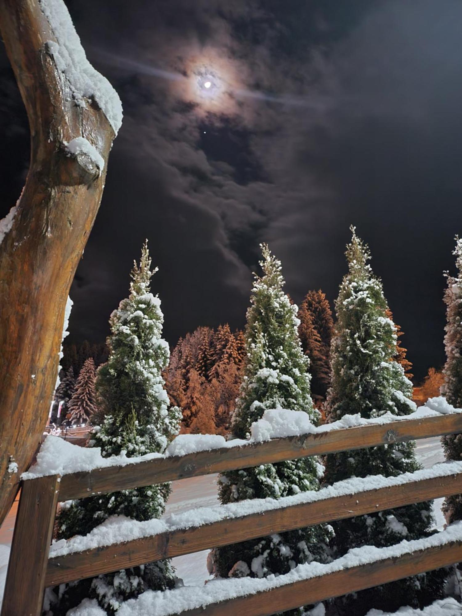 Nova Varoš Zlatar Luxury Chalet - Trace Of Nature 2214 מראה חיצוני תמונה